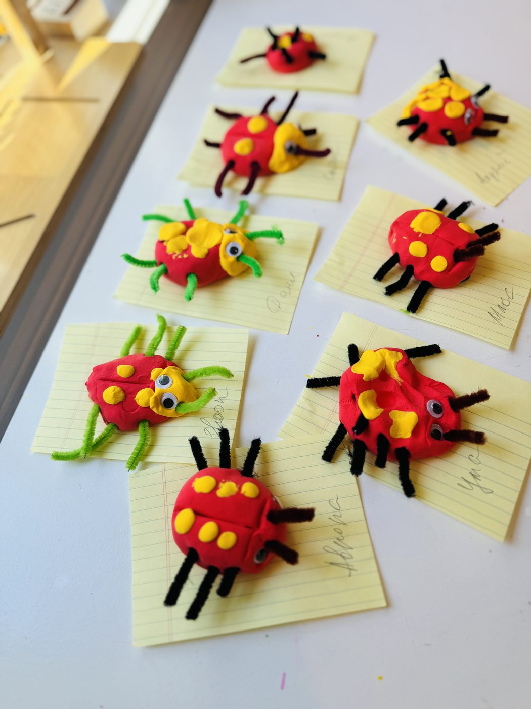 Clay ladybug crafts made by the children